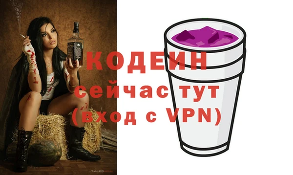 индика Володарск